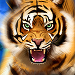 Jogue Royal Tiger, Live 5 Gaming