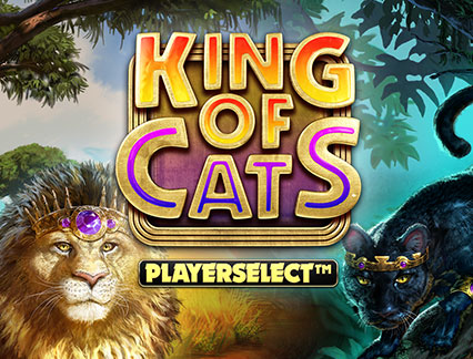 King of Cats PLAYERSELECT